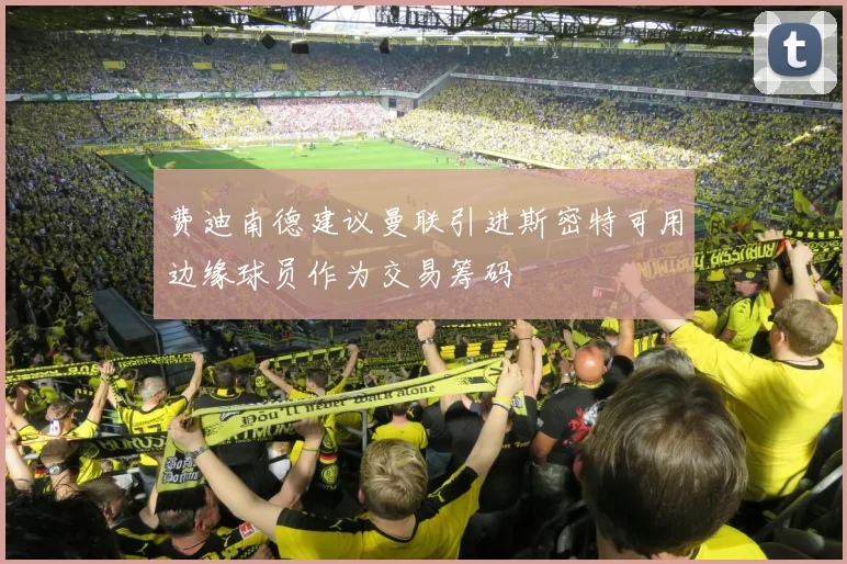 费迪南德建议曼联引进斯密特可用边缘球员作为交易筹码